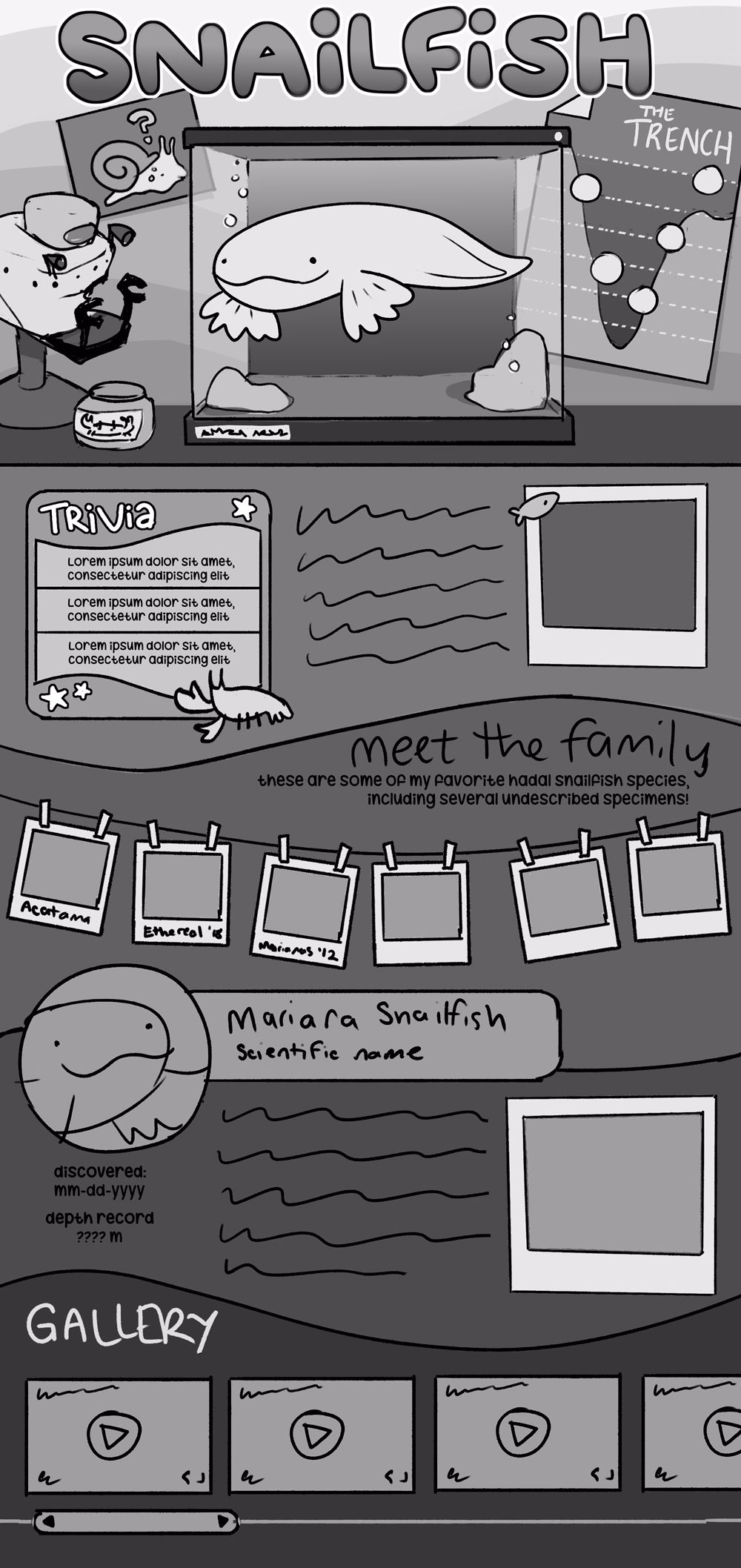grayscale sketch of planned layout.