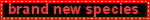 'brand new species' blinkie with red text and black background