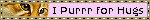 'i purr for hugs' blinkie with  realistic orange cat face on purple background