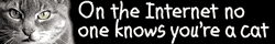 "On the internet no one knows you're a cat" in wobbly handwritten font with grayscale tabby cat face.