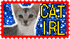 cat irl stamp