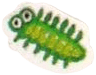 tiny green bug with round eyes