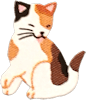 sitting calico cat grooming its back