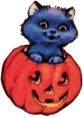 mischievous black cat in a jack-o-lantern