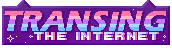 'TRANSING THE INTERNET' button with cat ears and catgender pride flag colors